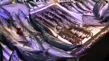 Palamut irileşti: Fiyat arttı