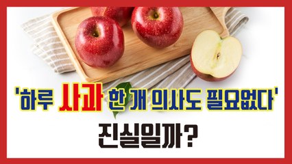 ‘하루 사과 한 개 의사도 필요없다’… 진실일까?[김대성의 아아 그렇군요]