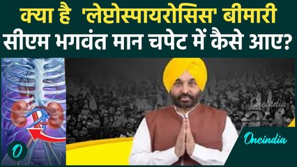 Punjab CM Bhagwant illness: भगवंत मान को हुआ 'लेप्टोस्पायरोसिस' Leptospirosis. क्या है ये बीमारी ?