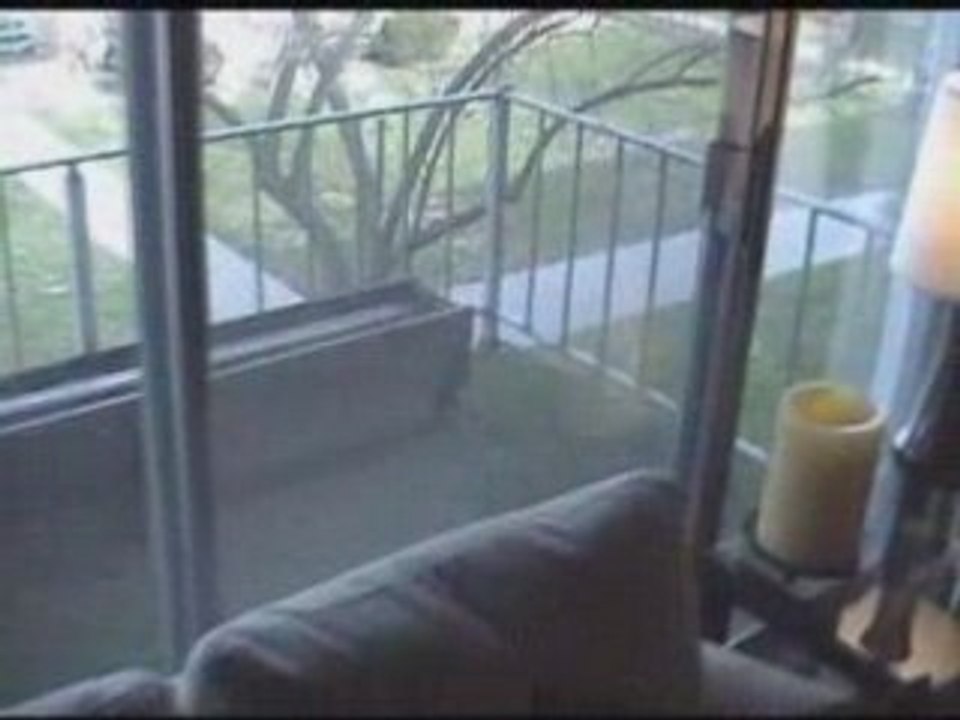 For Sale:1213 Island Dr #204, Ann Arbor, MI | Q...
