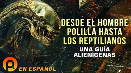 Video herunterladen: DESDE EL HOMBRE POLILLA HASTA LOS REPTILIANOS UNA GUÍA ALIENÍGENAS  PELICULA EXTRATERRESTRES