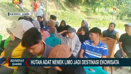 Keseruan Berwisata di  Hutan Adat Nenek Limo Kerinci Jambi