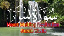 Surah Yasin | Surah Yaseen Beautiful Heart Melting Recitation