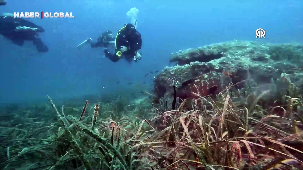 İzmir'de su altında görüntülendi: "Çok uzun bir yaşam döngüsü var, sayılarını tespit etmeye çalışıyoruz!"