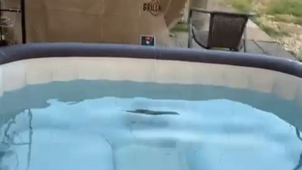Boy’s gentle push sends his friend tumbling into the hot tub unexpectedly