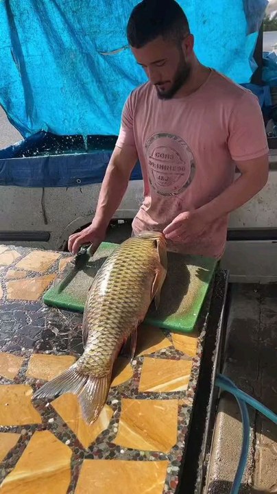 fish cutting skills