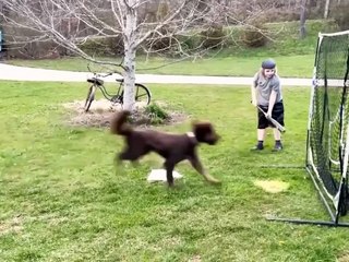 Funny video #funny #viral #trending #comedy #short #viralshorts #entertainment #fun