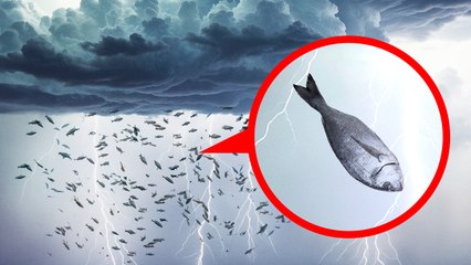 The Coolest Natural Phenomena Worth Travelling to See