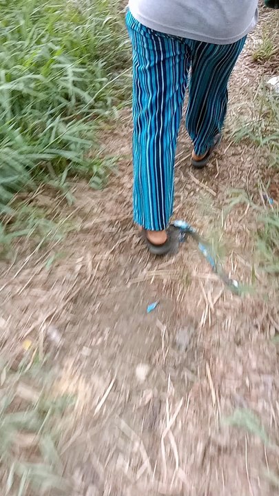 Pulang Kerja