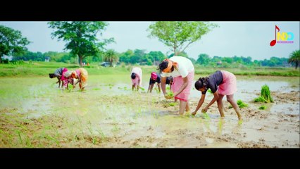 Tham Ke Baras _ थम के बरस _ Nitin Dubey,Sharmila Biswas _Bharat, Ankita _New Cg Song_ Official Video