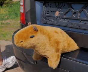 Some really creative ways to upgrade your car & take it to the next level!