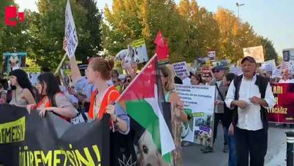Yaşam hakkı savunucuları ‘katliam yasası’na karşı yürüyor: Yasayı iptal et!