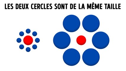 Illusions d'optique qui déforment la réalité sous vos yeux