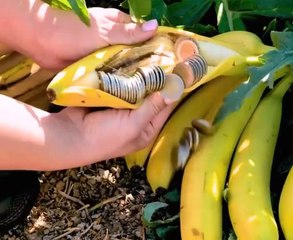 Going bananas for shoe fashion!