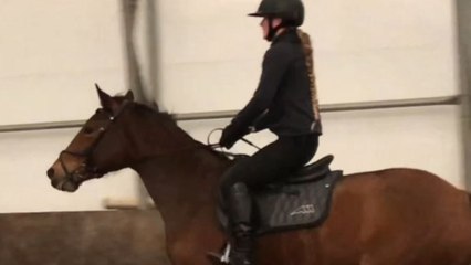 'Why Do You Have Such a Bad Back?' - Entertaining fail compilation features rider falling off horses