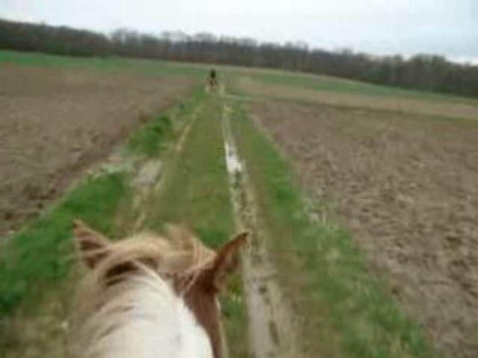 Galop derriere Jack avec Magnum et Opium