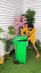 The Bond Between Domestic Ant And Human Is Unbreakable