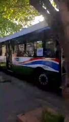 El aporte de "Papá Milei": le dio sus bondis para trasladar militantes