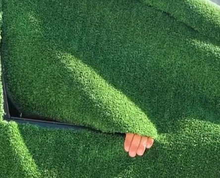 Green your car with these creative ideas & make summer last forever!