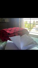 SAPNA total ha to Dil kabe jalta hn