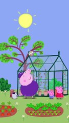 Careful Of The Greenhouses! #shorts #peppapig