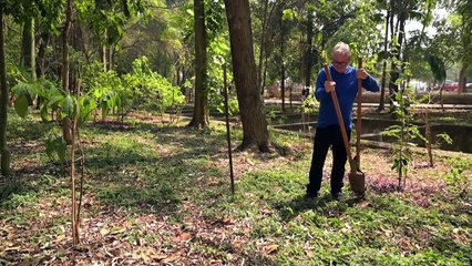'Crazy' tree planter greening Sao Paulo concrete jungle