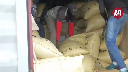 Decomisan 1,3 tonelada de cocaína en Caucedo