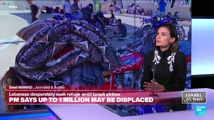 Who fights for Hezbollah and why ? Dalal Mawad speaks to FRANCE 24