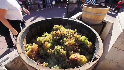 Fiesta de la vendimia en el municipio de Serrada