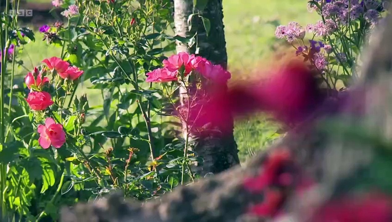 Garden Rescue episode 25 2024
