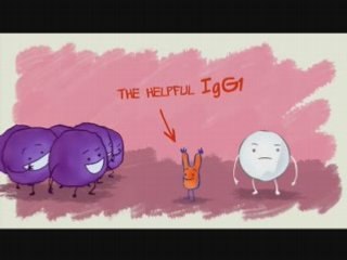 ADCC the kiss of death for tumor cells