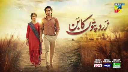 Zard Patton Ka Bunn - Ep 21 - 29 Sep 24 - Sponsor By Gofy, Master Paints & Jhalak Beauty Cream