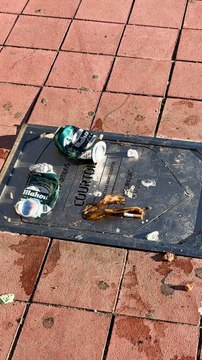 La placa de Courtois en el Metropolitano