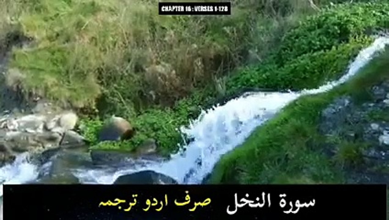 Surah nahl Holy Quran Urdu translation