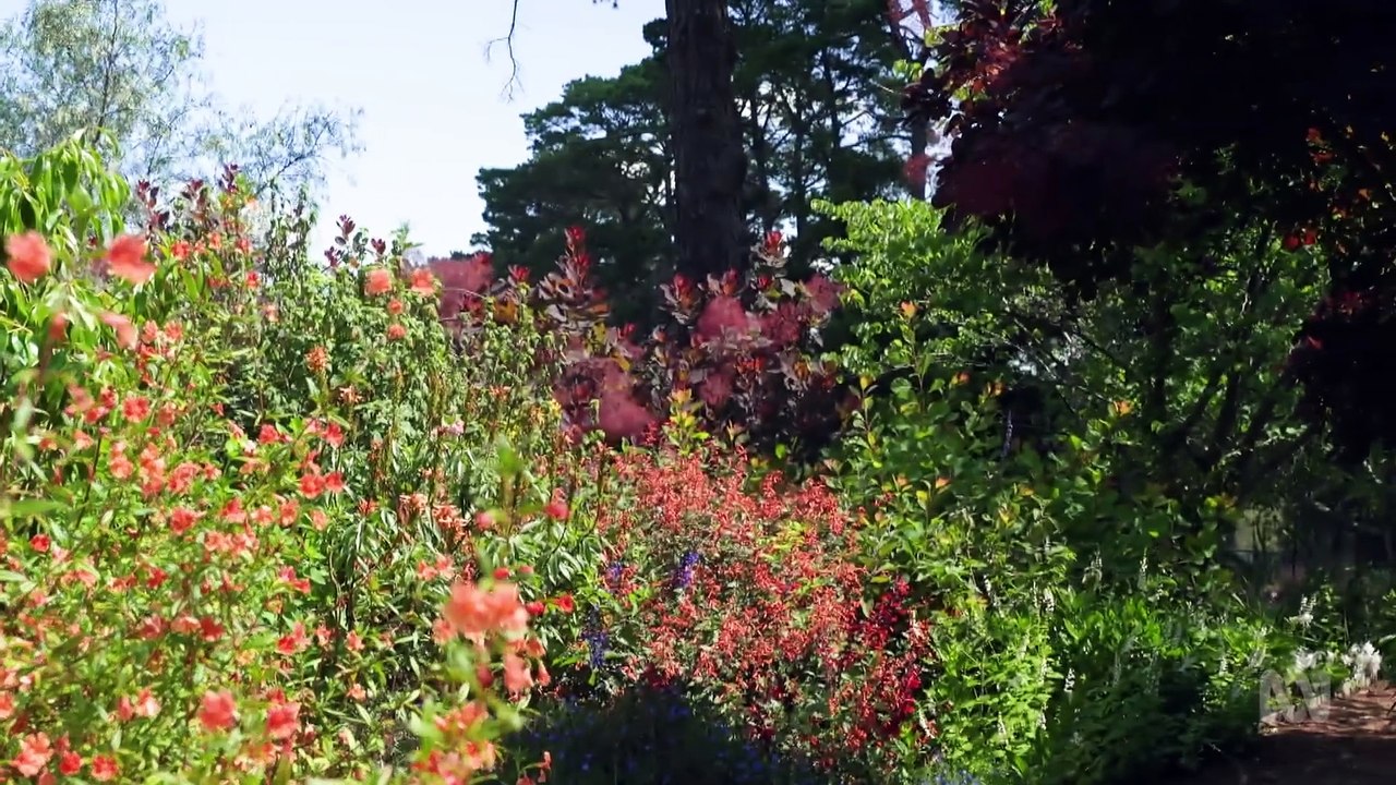 Gardening Australia 2024 episode 27 video Dailymotion