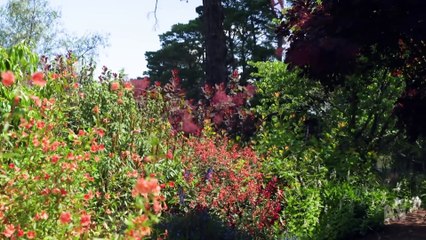 Gardening Australia 2024 episode 27