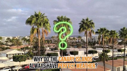 What Makes the Weather in the Canary Islands So Perfect Year-Round?