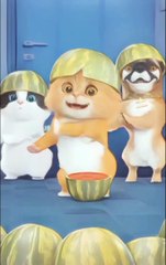 "Paw-some Dance Moves: Cats on the Floor!"