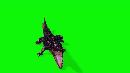 aligator Green Screen Videos in 4K