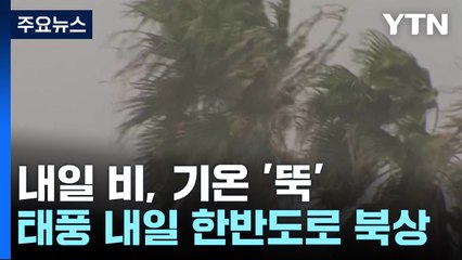 [날씨] 내일 비 온 뒤 '기온 뚝'...주 후반 태풍 근접, 남부 비바람·해상 너울 / YTN