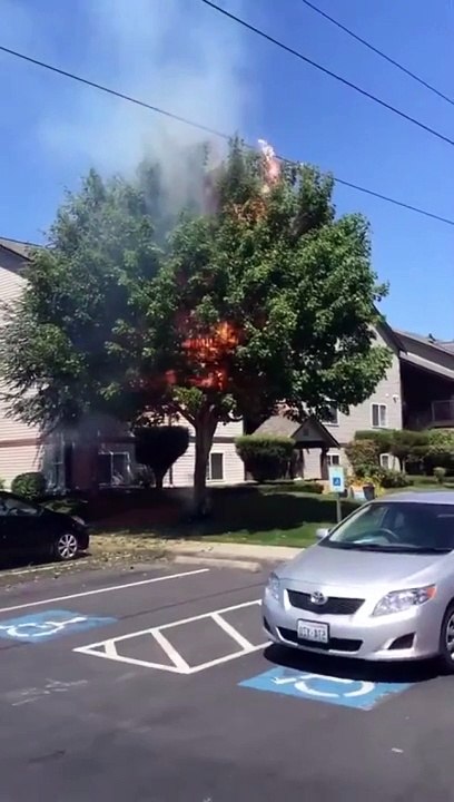 Umm who do you even call_!