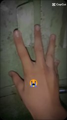 Goodbye to Parrots 🦜