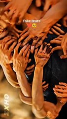 Peaceful Reflections