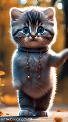 Pet Dancing | Adorable | TheDancingCatShow
