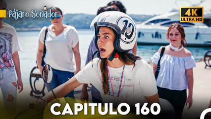 Pájaro Soñador Capítulo 160 (Doblado En Español 4K)