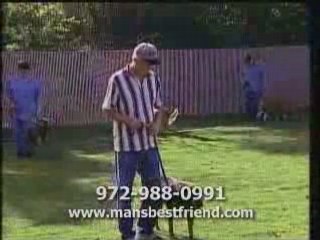 Eyecon Video Productions - Man's Best Friend - Generic