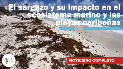 Estudios exploran el impacto del café en la expresión génica | 694 | 30 septiembre - 6 octubre 2024
