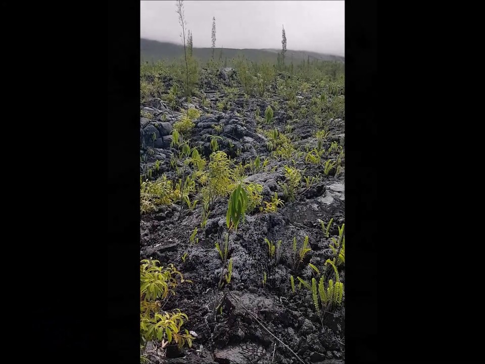 Ile de la Réunion - septembre 2024