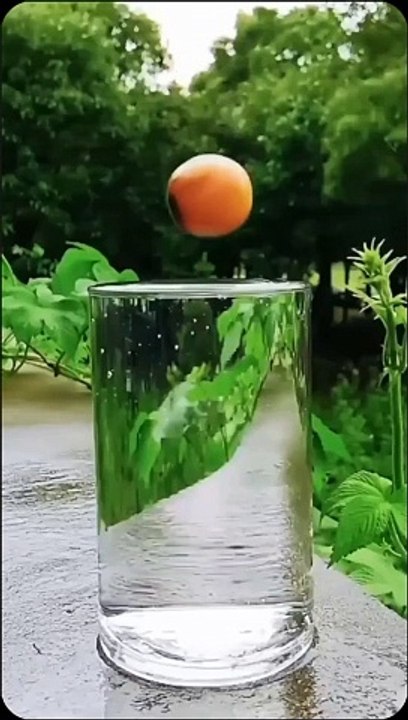 Best entertaining videos