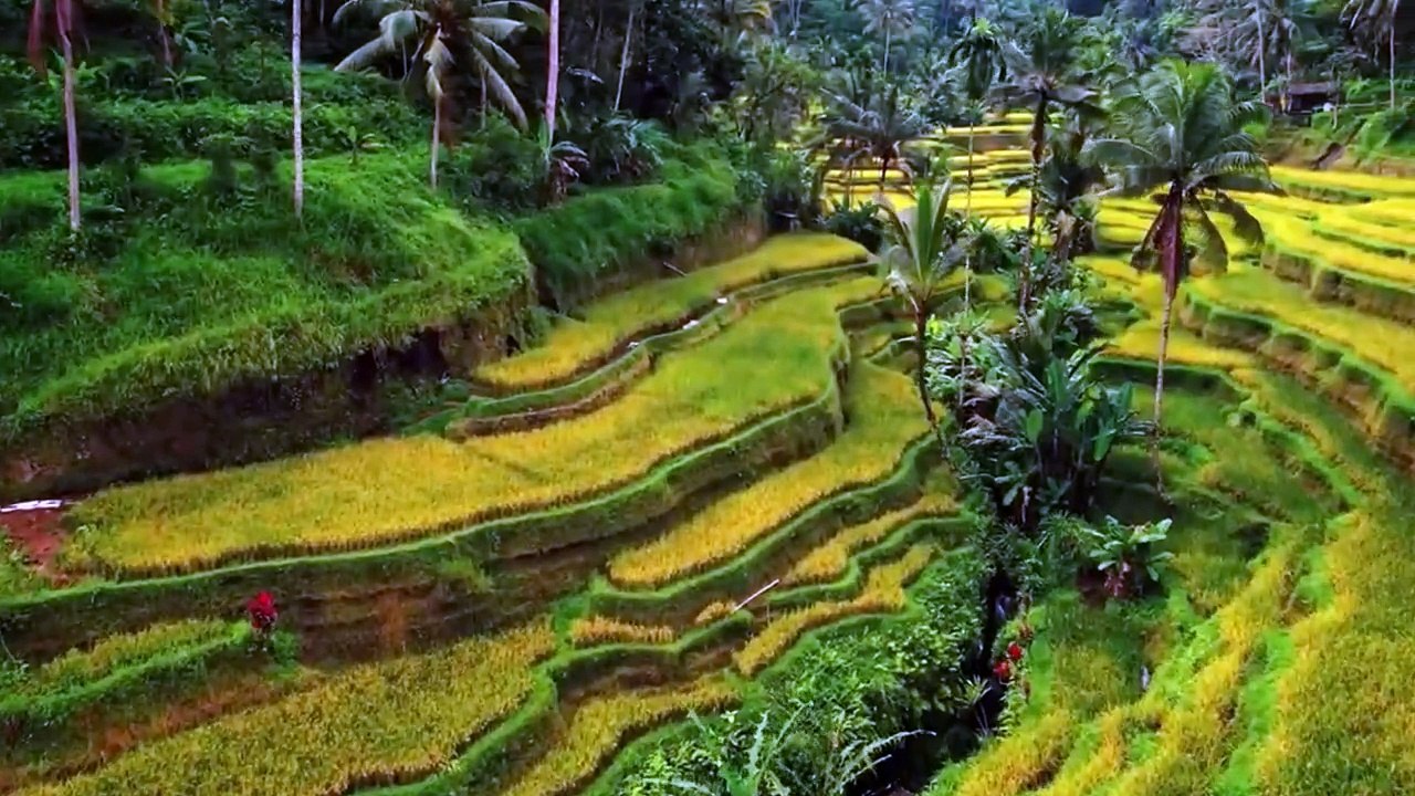 Discover Indonesia's Hidden Gems: Stunning Travel Destinations You Can't Miss
